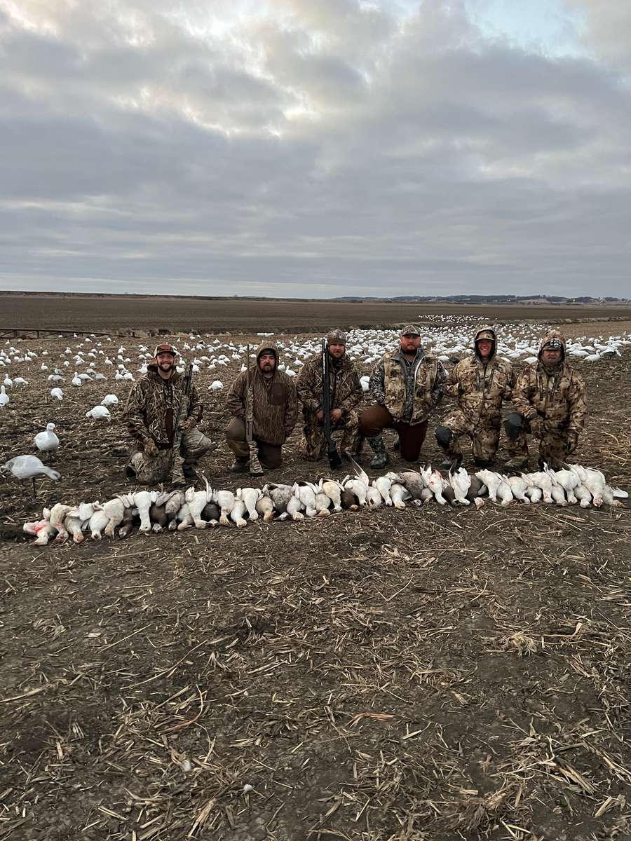 Mississippi Spring Snow Goose Hunt Mississippi Spring Snow Goose Hunt