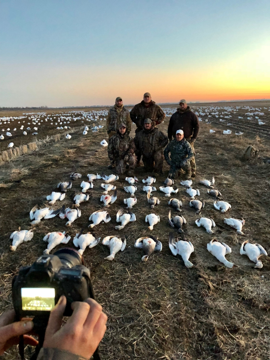 Arkansas Spring Snow Goose Hunts  Arkansas Spring Snow Goose Hunts